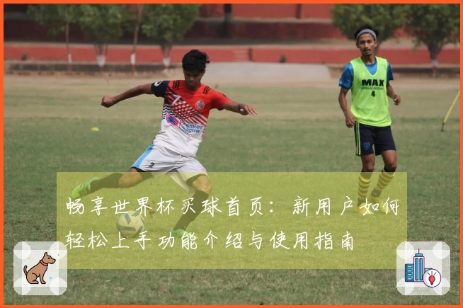 畅享世界杯买球首页:新用户如何轻松上手功能介绍与使用指南