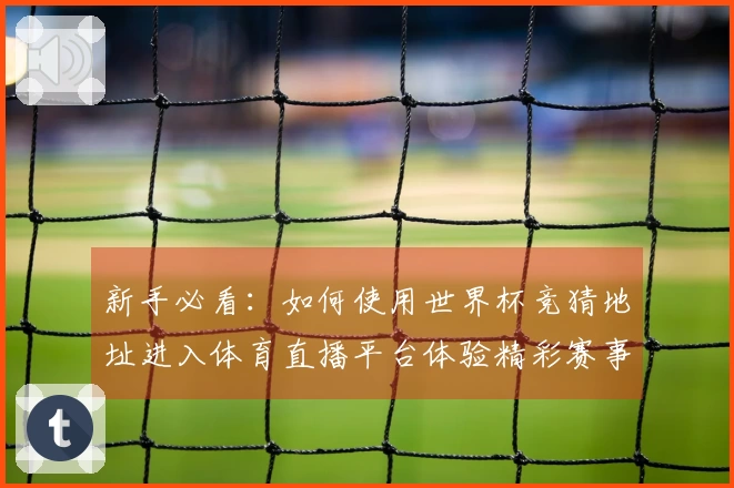 新手必看：如何使用世界杯竞猜地址进入体育直播平台体验精彩赛事