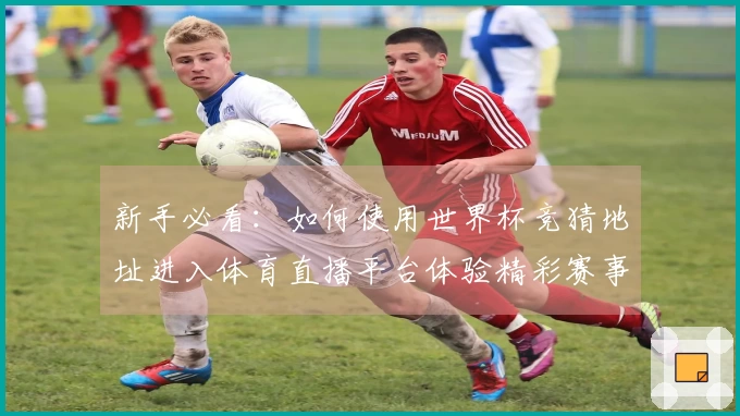 新手必看：如何使用世界杯竞猜地址进入体育直播平台体验精彩赛事