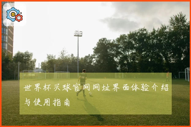世界杯买球官网网址界面体验介绍与使用指南