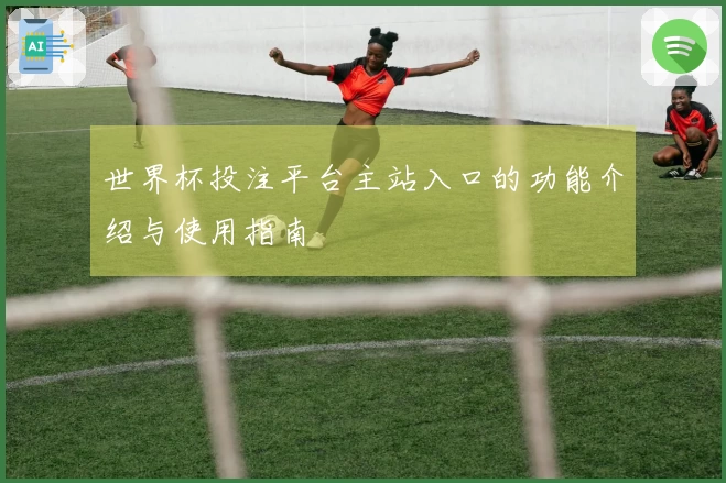 世界杯投注平台主站入口的功能介绍与使用指南