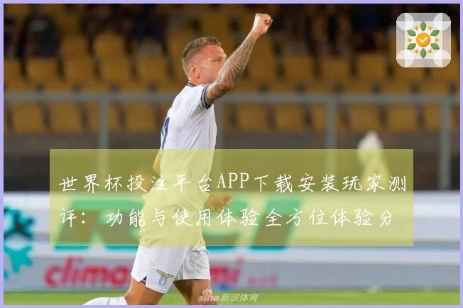 世界杯投注平台APP下载安装玩家测评:功能与使用体验全方位体验分享