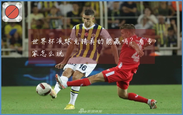 世界杯滚球竞猜真的能赢吗？看专家怎么说