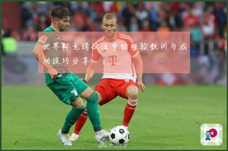 世界杯竞猜投注中的经验教训与成功技巧分享